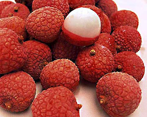 Vải[-]thiều[-]Thanh[-]Hà[-]là[-]đặc[-]sản[-]trái[-]cây[-]của[-]tỉnh[-]Hải[-]Dương.[-]Giống[-]vải[-]ở[-]đây,[-]theo[-]một[-]số[-]người[-]cao[-]tuổi[-]cho[-]biết[-]là[-]đã[-]có[-]trên[-]150[-]năm.[-]Tất[-]cả[-]những[-]giống[-]vải[-]ở[-]Thanh[-]Hà[-]được[-]nhân[-]giống[-]từ[-]cây[-]vải[-]tổ[-]ở[-]thôn[-]Thúy[-]Lâm,[-]xã[-]Thanh[-]Sơn,[-]huyện[-]Thanh[-]Hà.[-]Vải[-]thiều[-]Thanh[-]Hà[-]thơm[-]ngon,[-]nhiều[-]chất[-]dinh[-]duỡng.