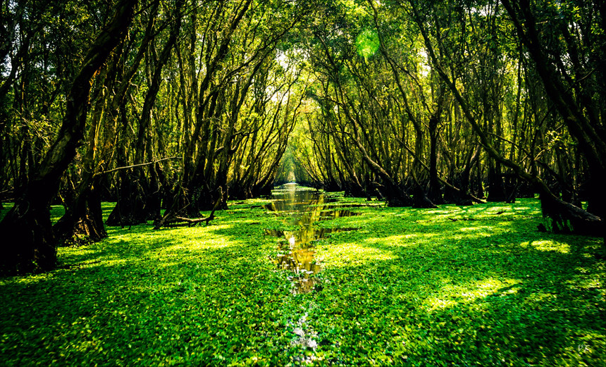 Về[-]miền[-]sông[-]nước[-]An[-]Giang