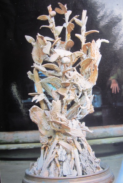 Sự[-]thật[-]về[-]cây[-]hóa[-]thạch[-]3[-]triệu[-]USD[-]ở[-]Thanh[-]Hóa