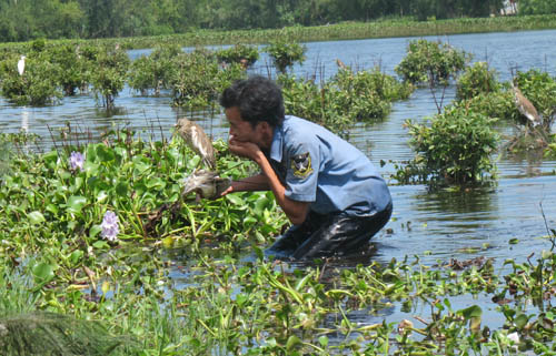`Nghề`[-]tàn[-]sát[-]chim[-]trời[-]`ăn[-]vào[-]máu`