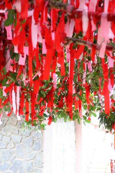 Những[-]dải[-]lụa[-]được[-]“quăng”[-]lên[-]cây.