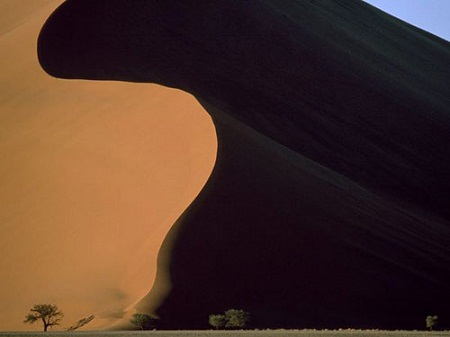 Cồn[-]cát[-]ở[-]sa[-]mạc[-]Namib,[-]Namibia.