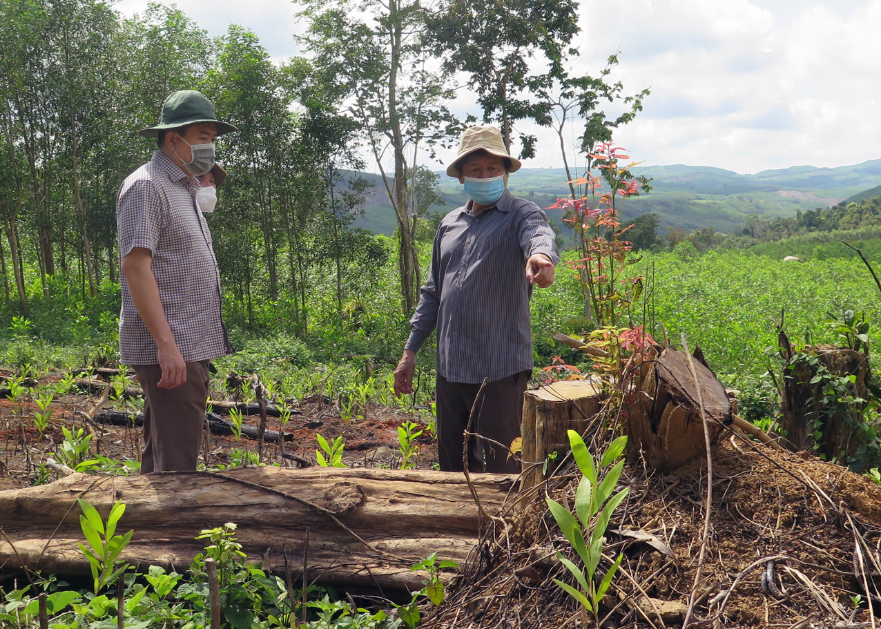 Ph&uacute;[-]Y&ecirc;n[-]khởi[-]tố[-]vụ[-]&aacute;n[-]h&igrave;nh[-]sự[-]hủy[-]hoại[-]rừng[-]l&agrave;m[-]rẫy