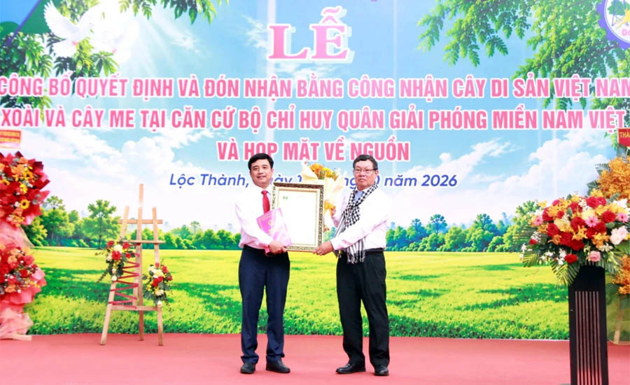 Hai[-]c&acirc;y[-]cổ[-]thụ[-]tại[-]Căn[-]cứ[-]Bộ[-]Chỉ[-]huy[-]miền[-]Nam[-]được[-]c&ocirc;ng[-]nhận[-]C&acirc;y[-]Di[-]sản[-]Việt[-]Nam