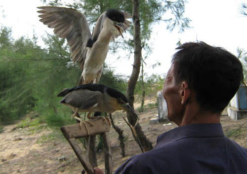 `Nghề`[-]tàn[-]sát[-]chim[-]trời[-]`ăn[-]vào[-]máu`