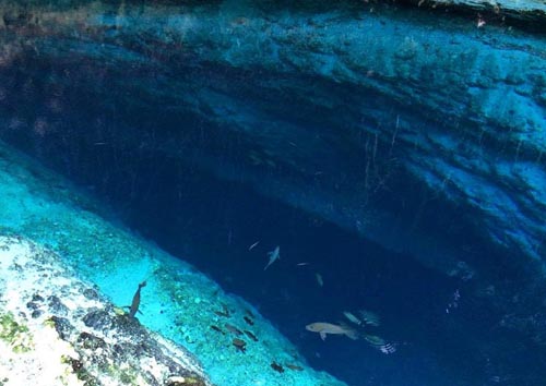 Bí[-]ẩn[-]về[-]dòng[-]sông[-]không[-]có[-]nguồn[-]ở[-]Philippines