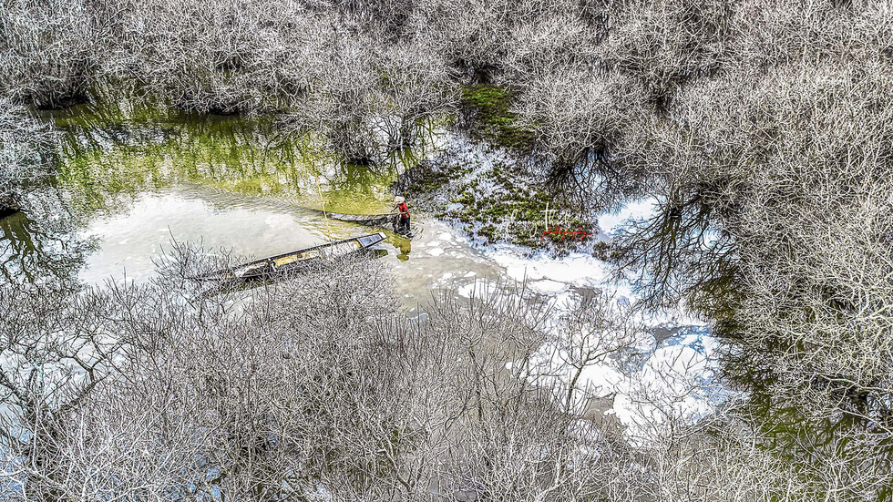 Đông[-]về,[-]rừng[-]Rú[-]Chá[-]đẹp[-]ma[-]mị