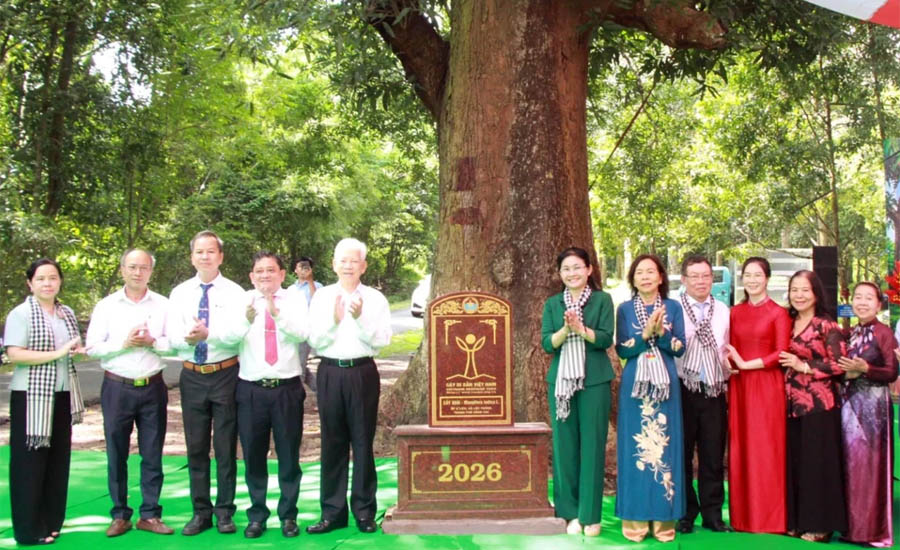 Hai[-]c&acirc;y[-]cổ[-]thụ[-]tại[-]Căn[-]cứ[-]Bộ[-]Chỉ[-]huy[-]miền[-]Nam[-]được[-]c&ocirc;ng[-]nhận[-]C&acirc;y[-]Di[-]sản[-]Việt[-]Nam