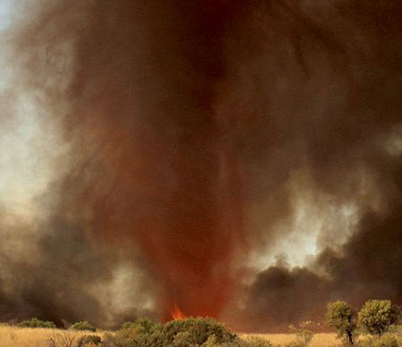 Theo[-]đánh[-]giá[-]của[-]các[-]chuyên[-]gia,[-]việc[-]ghi[-]lại[-]hình[-]lốc[-]xoáy[-]lửa[-]còn[-]hiếm[-]hơn[-]số[-]lần[-]con[-]người[-]được[-]chiêm[-]ngưỡng,[-]cho[-]nên[-]đến[-]nay[-]chúng[-]ta[-]không[-]biết[-]nhiều[-]về[-]phạm[-]vi[-]kích[-]thước[-]cũng[-]như[-]totocs[-]độ[-]của[-]chúng.