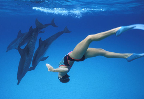 Một[-]thợ[-]lặn[-]chuyên[-]nghiệp