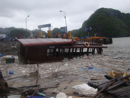 Bão[-]xé[-]đảo[-]Cát[-]Bà[-]-[-]Hải[-]Phòng[-](ảnh:[-]Anh[-]Thế)