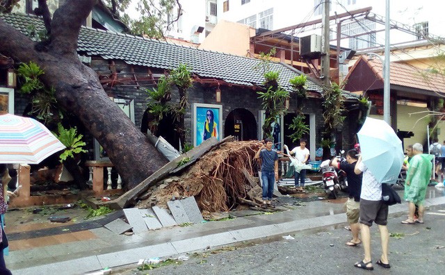 Năm[-]2017[-]-[-]năm[-]kỷ[-]lục[-]của[-]thiên[-]tai