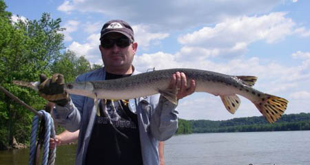 Sự[-]thật[-]về[-]cá[-]“mình[-]chuối[-]đầu[-]sấu”