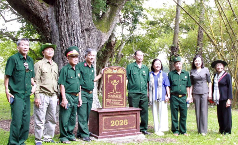 Hai[-]c&acirc;y[-]cổ[-]thụ[-]tại[-]Căn[-]cứ[-]Bộ[-]Chỉ[-]huy[-]miền[-]Nam[-]được[-]c&ocirc;ng[-]nhận[-]C&acirc;y[-]Di[-]sản[-]Việt[-]Nam