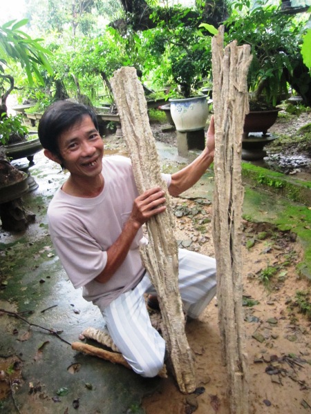 Sự[-]thật[-]về[-]cây[-]hóa[-]thạch[-]3[-]triệu[-]USD[-]ở[-]Thanh[-]Hóa