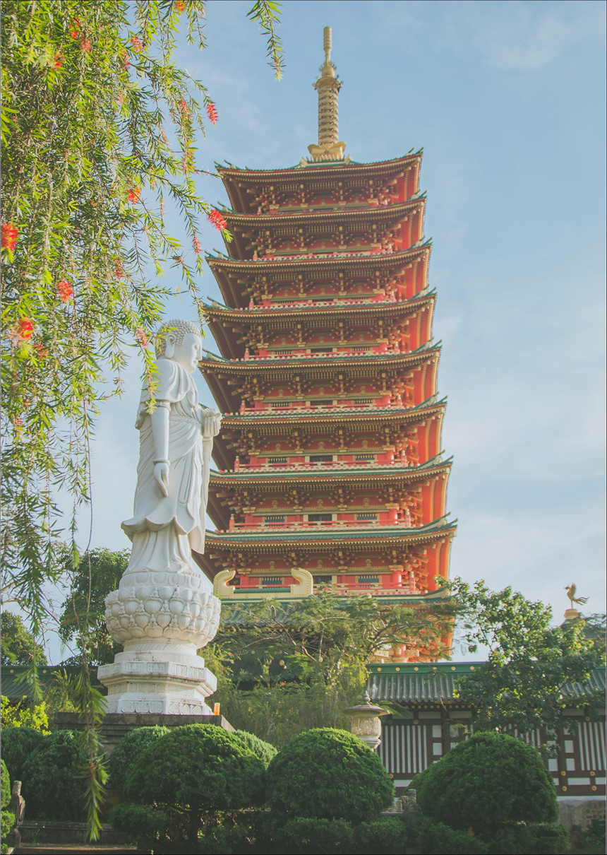 Phố[-]núi[-]Gia[-]Lai[-]đẹp[-]hùng[-]vĩ[-]qua[-]ảnh[-]