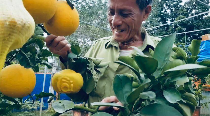 C&acirc;y[-]ngũ[-]quả[-]bon[-]sai,[-]&eacute;p[-]chữ[-]nổi[-]gi&aacute;[-]chục[-]triệu[-]vẫn[-]đắt[-]h&agrave;ng