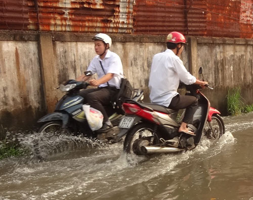 Cơ[-]quan[-]chức[-]năng[-]chưa[-]có[-]giải[-]pháp[-]gì[-]để[-]ngăn[-]triều[-]cường[-]trên[-]địa[-]bàn[-]P.Hiệp[-]Bình[-]Chánh,[-]Q.THủ[-]Đức[-]1