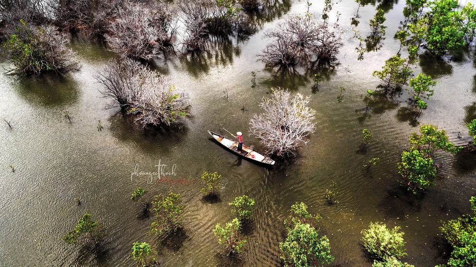 Đông[-]về,[-]rừng[-]Rú[-]Chá[-]đẹp[-]ma[-]mị