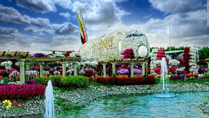 65[-]triệu[-]bông[-]hoa[-]rực[-]rỡ[-]giữa[-]Dubai[-]khô[-]cằn