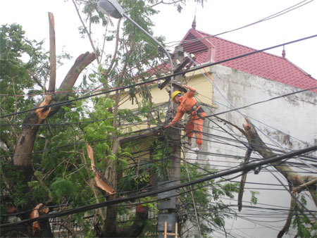 ...[-]cây[-]cối[-]gãy[-]đổ[-]ngổn[-]ngang,[-]gây[-]nhiều[-]thiệt[-]hại.[-](Ảnh:[-]Vũ[-]Trọng[-]Thái)