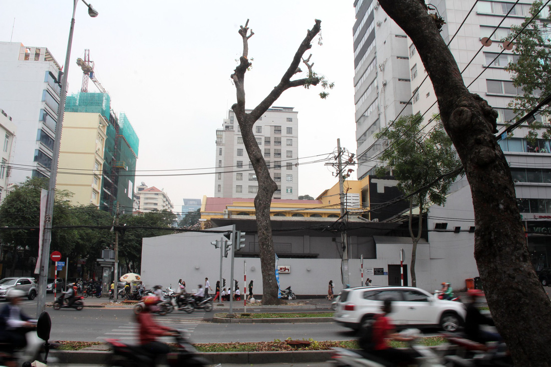 Đường[-]Tôn[-]Đức[-]Thắng[-]lạ[-]lẫm[-]khi[-]không[-]còn[-]hàng[-]cây[-]cổ[-]thụ