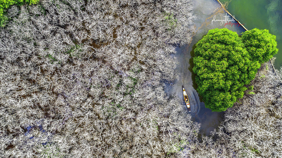 Đông[-]về,[-]rừng[-]Rú[-]Chá[-]đẹp[-]ma[-]mị