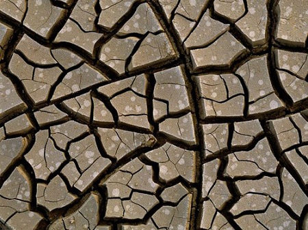 Sa[-]mạc[-]Danakil,[-]Ethiopia[-]khiến[-]đất[-]đai[-]khô[-]cằn[-]và[-]nứt[-]nẻ.