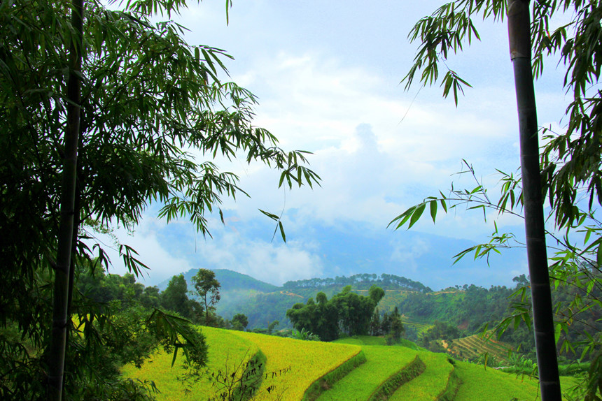 [-]Qua[-]đèo[-]vượt[-]dốc[-]đến[-]Bản[-]Phùng[-]ngắm[-]lúa[-]thu