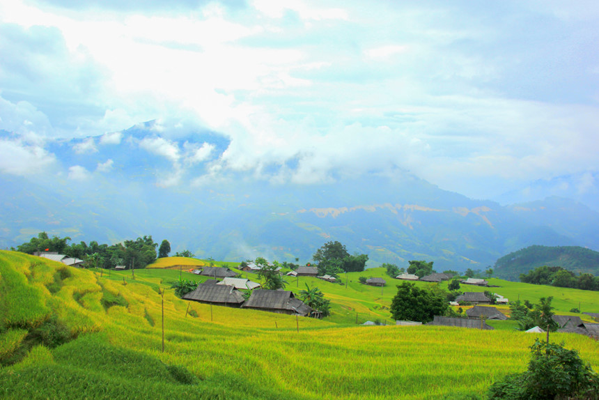 [-]Qua[-]đèo[-]vượt[-]dốc[-]đến[-]Bản[-]Phùng[-]ngắm[-]lúa[-]thu