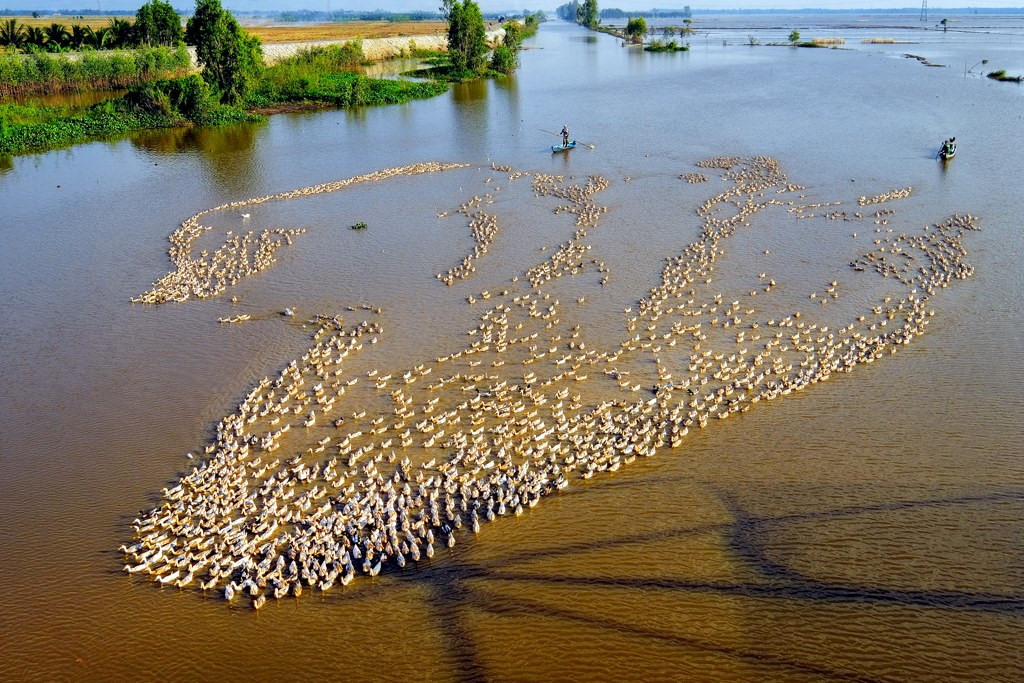 An[-]Giang,[-]nhớ[-]về[-]miền[-]thương[-]qua[-]những[-]mùa[-]nước[-]nổi