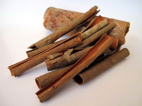 Quế[-]-[-]c&acirc;y[-]di[-]sản,[-]cũng[-]l&agrave;[-]c&acirc;y[-]thuốc[-]qu&yacute;