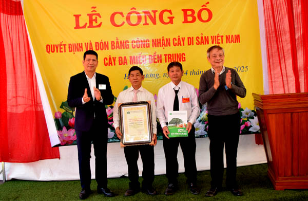 Mộc[-]thụ[-]b&ecirc;n[-]ng&ocirc;i[-]miếu[-]cổ[-]ở[-]Hải[-]Dương[-]được[-]vinh[-]danh[-]C&acirc;y[-]Di[-]sản[-]Việt[-]Nam