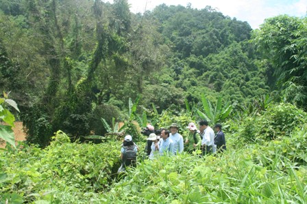 Khu[-]vực[-]dự[-]kiến[-]xây[-]dựng[-]thủy[-]điện[-]Đồng[-]Nai[-]6,[-]6