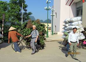 Tiềm[-]năng[-]và[-]giải[-]pháp[-]bảo[-]tồn[-]tài[-]nguyên[-]cây[-]thuốc[-]tại[-]Công[-]viên[-]địa[-]chất[-]toàn[-]cầu-[-]Cao[-]nguyên[-]đá[-]Đồng[-]văn
