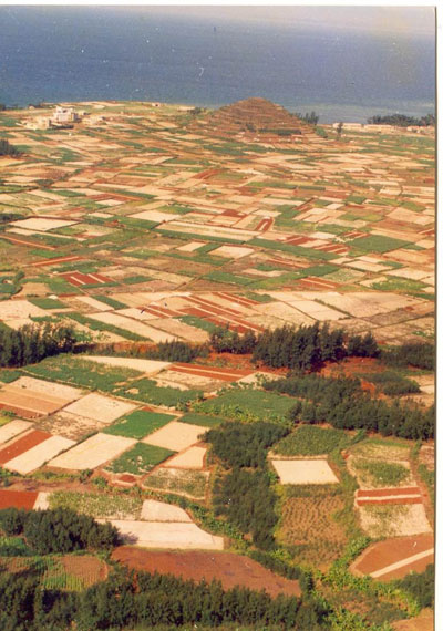 Đồng[-]tỏi[-]Lý[-]Sơn[-]nhìn[-]từ[-]miệng[-]núi[-]lửa