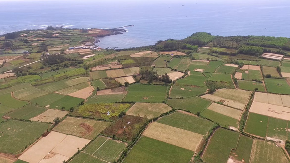 Quảng[-]Ng&atilde;i[-]dừng[-]2[-]dự[-]&aacute;n[-]du[-]lịch,[-]nghỉ[-]dưỡng[-]của[-]Tập[-]đo&agrave;n[-]FLC