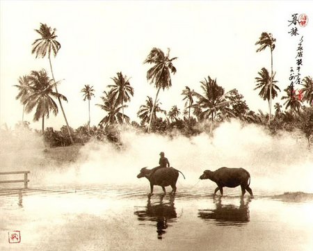 Mục[-]đồng