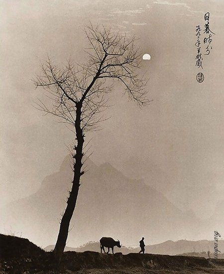 Chăn[-]trâu