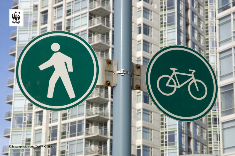 Bốn[-]thành[-]phố[-]Việt[-]Nam[-]hướng[-]tới[-]giảm[-]phát[-]thải[-]các-bon[-]