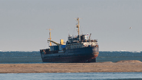 Con[-]tàu[-]chở[-]hàng