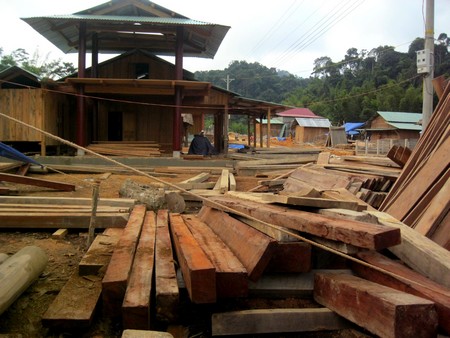 Người[-]dân[-]TĐC[-]các[-]dự[-]án[-]thủy[-]điện[-]huyện[-]Nam[-]Giang[-]phá[-]rừng[-]lấy[-]gỗ[-]về[-]làm[-]nhà[-]TĐC