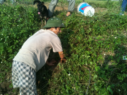 Cũng[-]có[-]khi[-]thợ[-]săn[-]phải[-]cho[-]tay[-]vào[-]tận[-]trong[-]hang[-]để[-]tóm[-]gọn[-]chú chuột