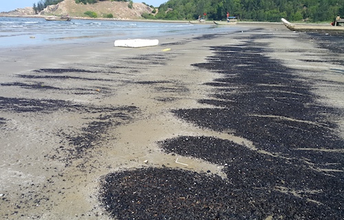 [-]Chất[-]thải[-]m&agrave;u[-]đen[-]dạt[-]v&agrave;o[-]b&atilde;i[-]biển[-]Nghệ[-]An