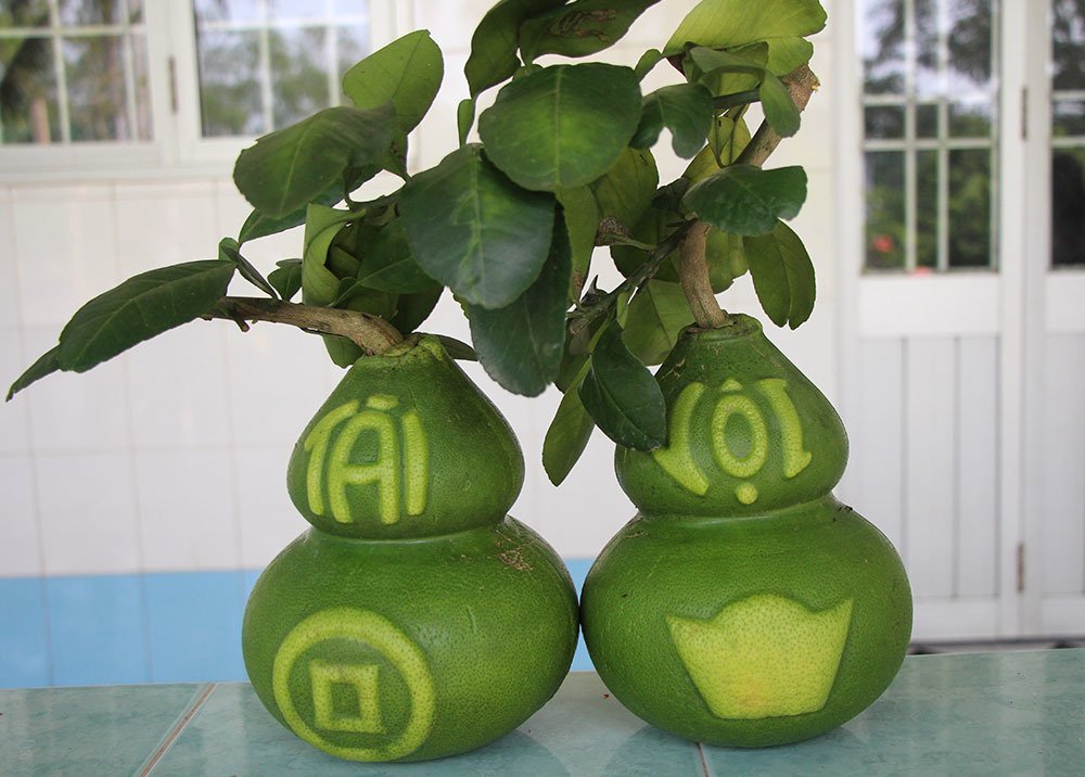 Quả[-]bưởi[-]vuông[-]kỳ[-]lạ[-]lần[-]đầu[-]tiên[-]xuất[-]hiện[-]ở[-]Việt[-]Nam