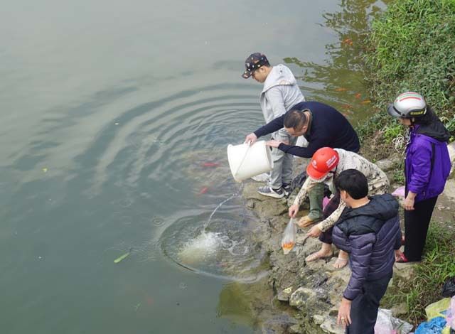Người[-]thả[-]cá,[-]người[-]chờ[-]sẵn...[-]chích[-]điện[-]vợt[-]cá!