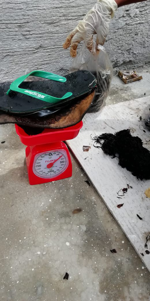 Cá[-]nhà[-]táng[-]chết[-]dạt[-]vào[-]bờ[-]với[-]5,9kg[-]rác[-]nhựa[-]trong[-]bụng