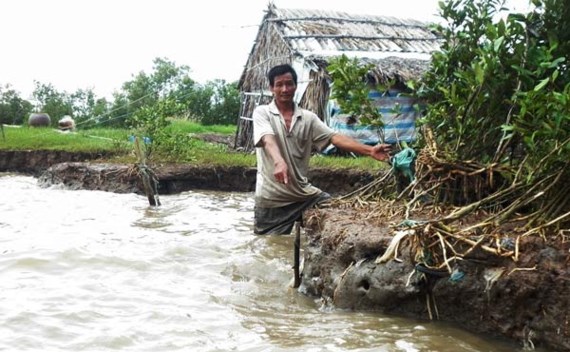 Mỗi[-]năm[-]Cà[-]Mau[-]mất[-]450ha[-]đất[-]ven[-]biển