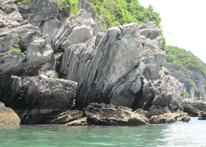 [-]Quy[-]hoạch[-]mới[-]của[-]Cát[-]Bà[-]có[-]ảnh[-]hưởng[-]tới[-]loài[-]Voọc[-]quý[-]hiếm?