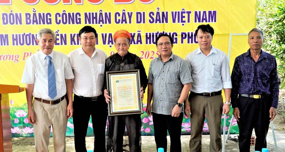 Hai[-]cây[-]Trầm[-]hương[-]cổ[-]thụ[-]đầu[-]tiên[-]được[-]công[-]nhận[-]là[-]Cây[-]Di[-]sản[-]Việt[-]Nam